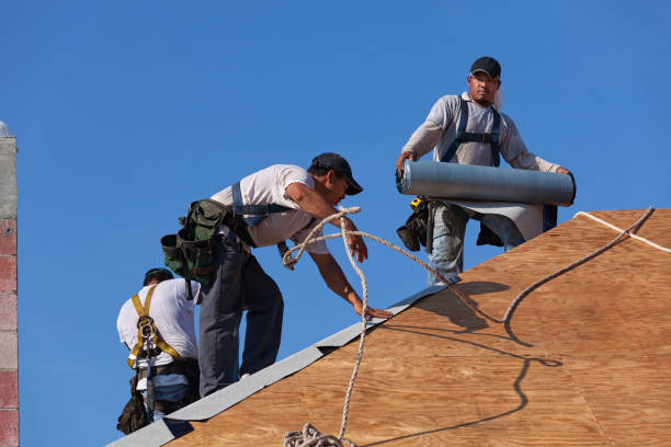 Best Roof Gutter Cleaning  in Van, TX